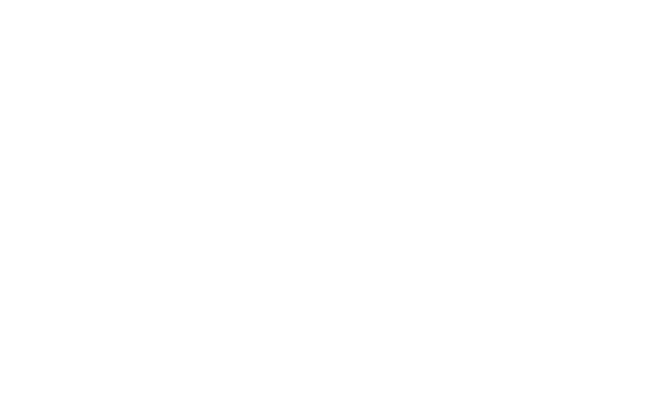 Angela Nemeh - Attorney at Law